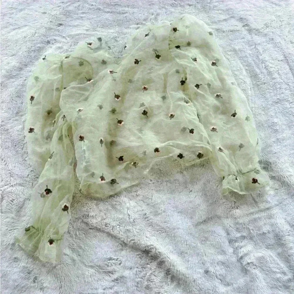 Zara Green Sheer Top size XS - Picture 3 of 5